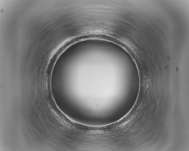 X0000059041118200510101003