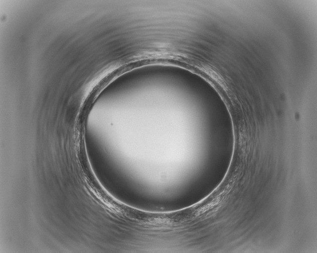 X0000059041119200510101003