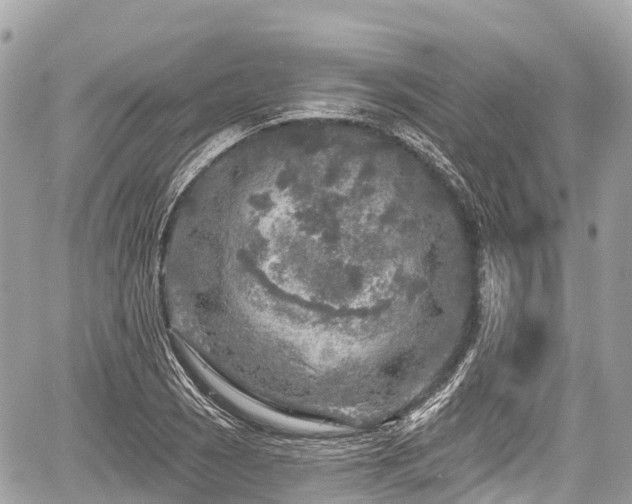 X0000059041121200510101003