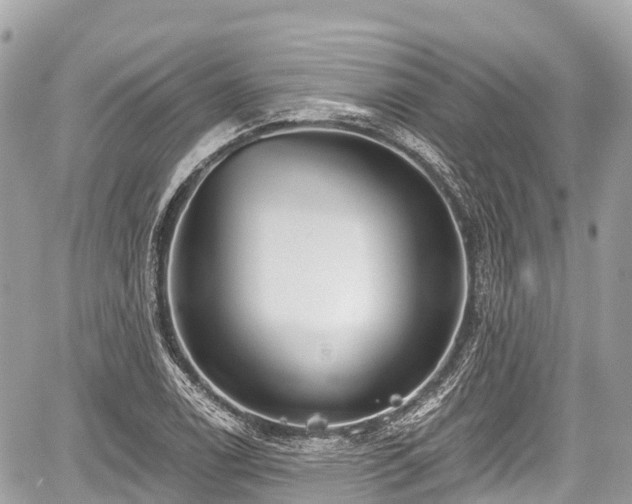 X0000059041122200510101003