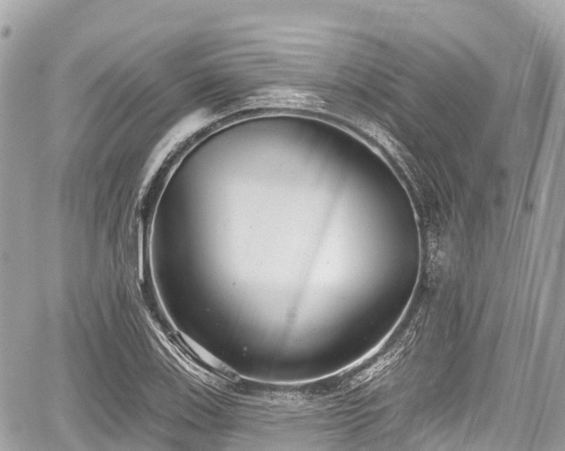 X0000059041123200510101003