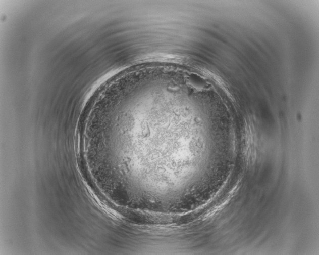 X0000059041125200510101003