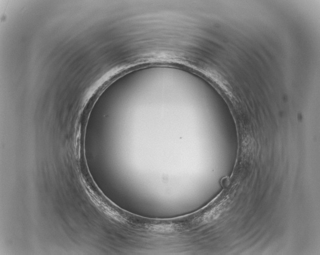 X0000059041126200510101003