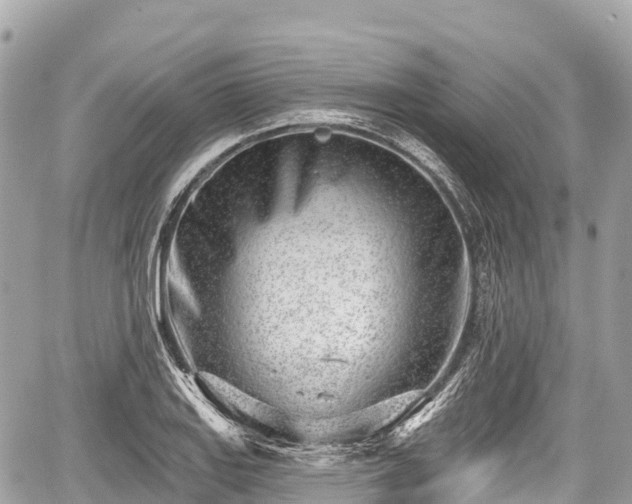 X0000059041127200510101003