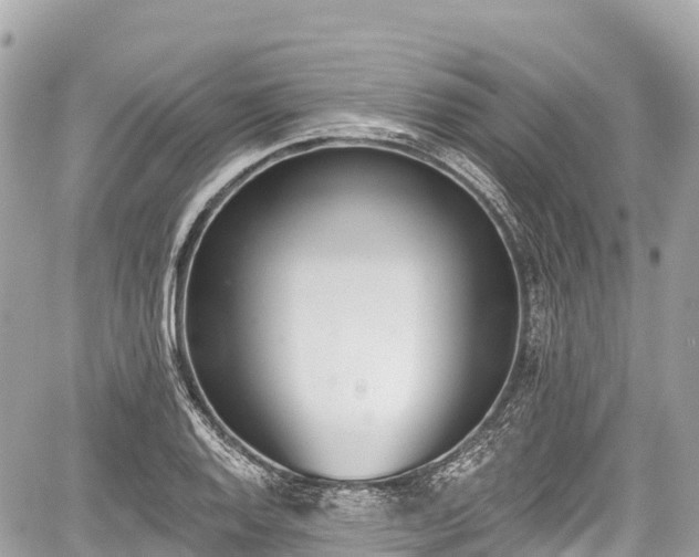 X0000059041128200510101003