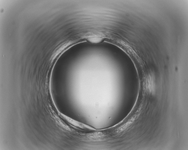 X0000059041129200510101003