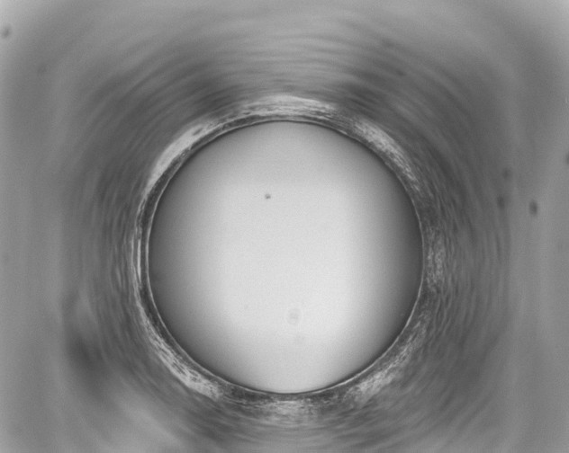 X0000059041130200510101003