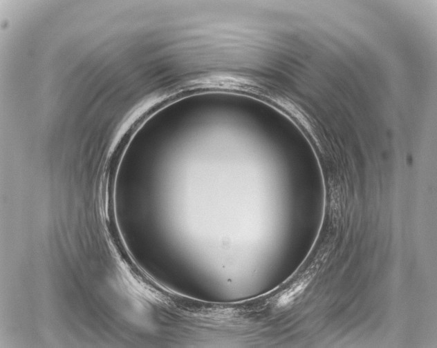 X0000059041131200510101003