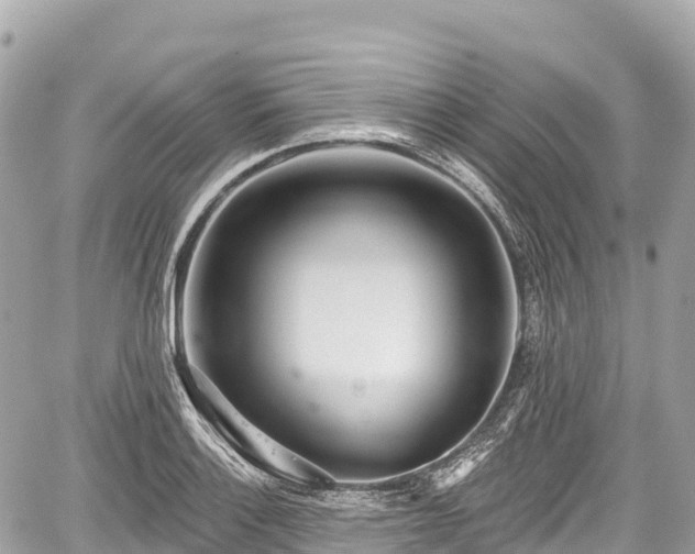 X0000059041132200510101003