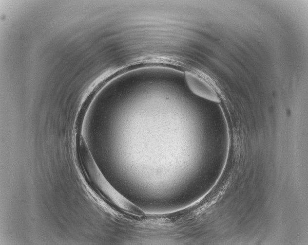 X0000059041133200510101003