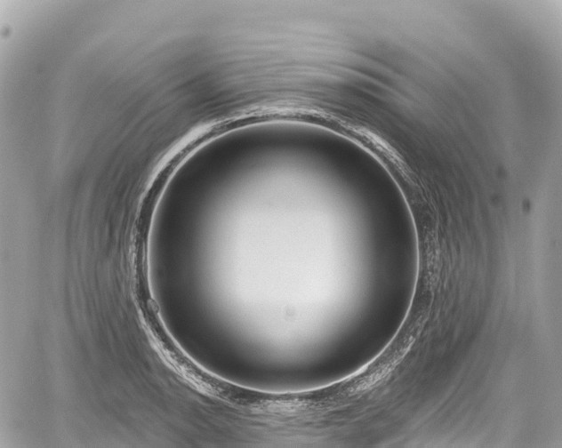 X0000059041134200510101003