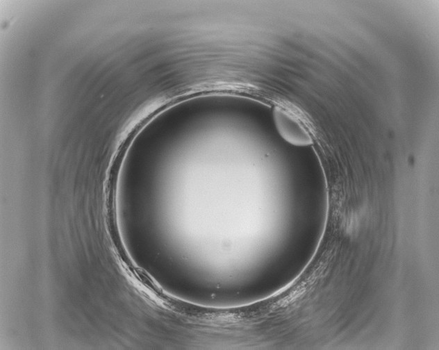 X0000059041135200510101003