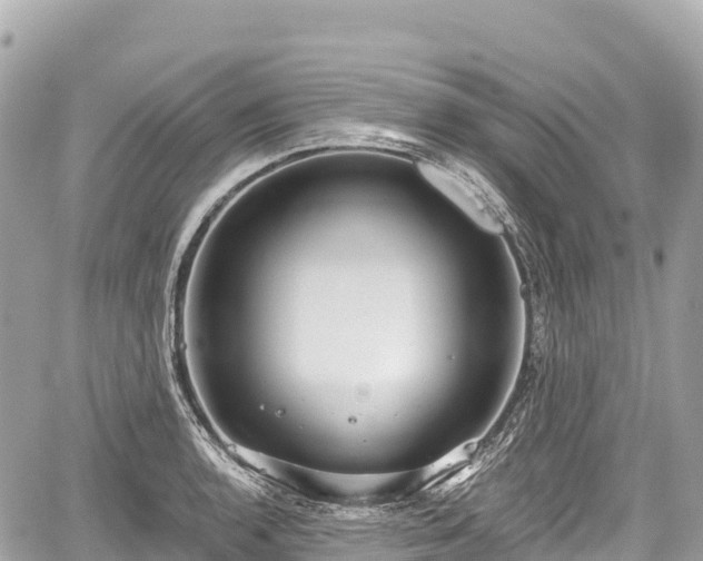 X0000059041136200510101003