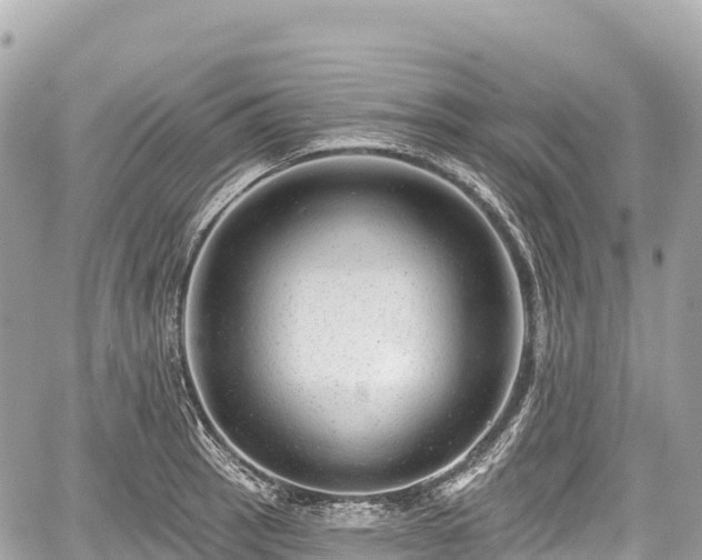 X0000059041137200510101003