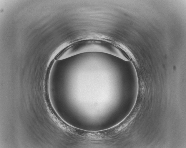 X0000059041138200510101003