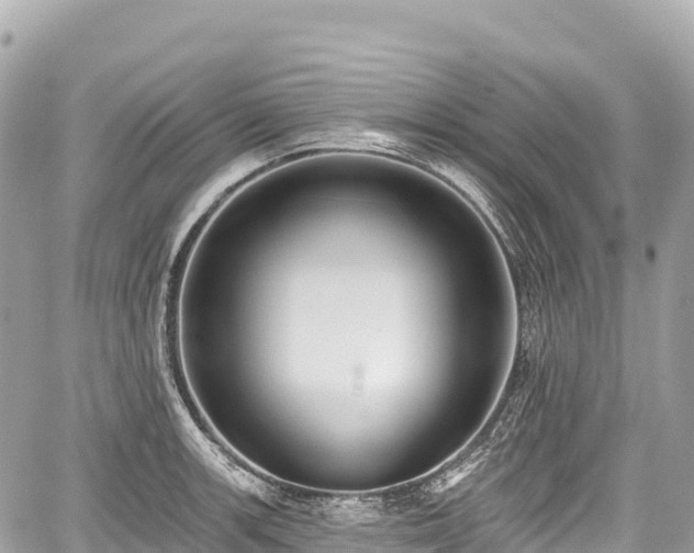 X0000059041139200510101003