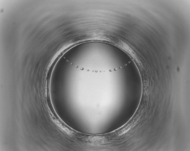 X0000059041140200510101003