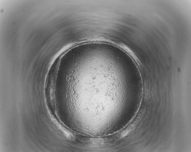 X0000059041142200510101003