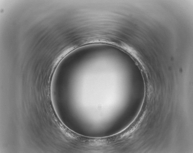 X0000059041145200510101003