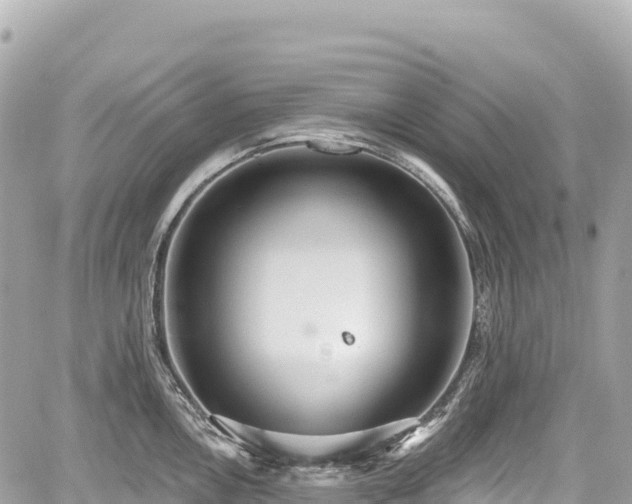 X0000059041146200510101003