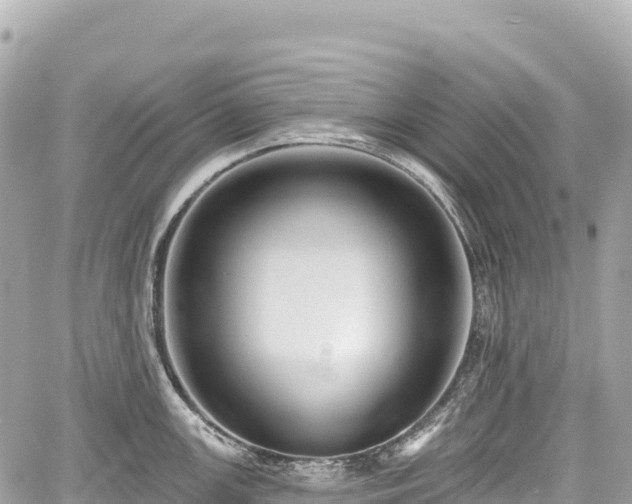 X0000059041147200510101003