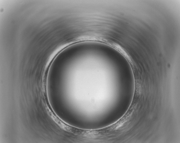 X0000059041148200510101003