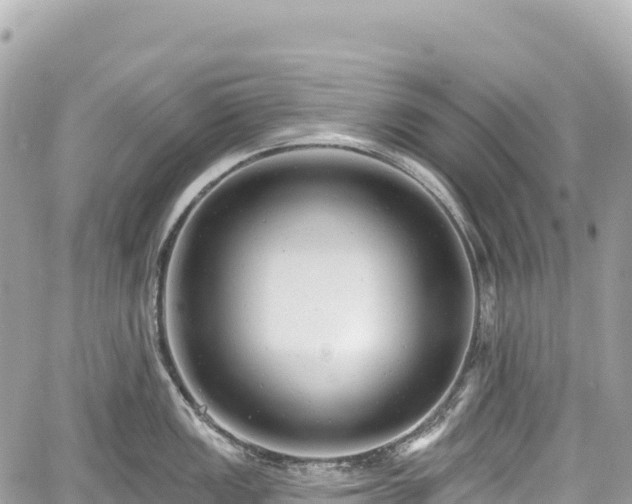 X0000059041149200510101003