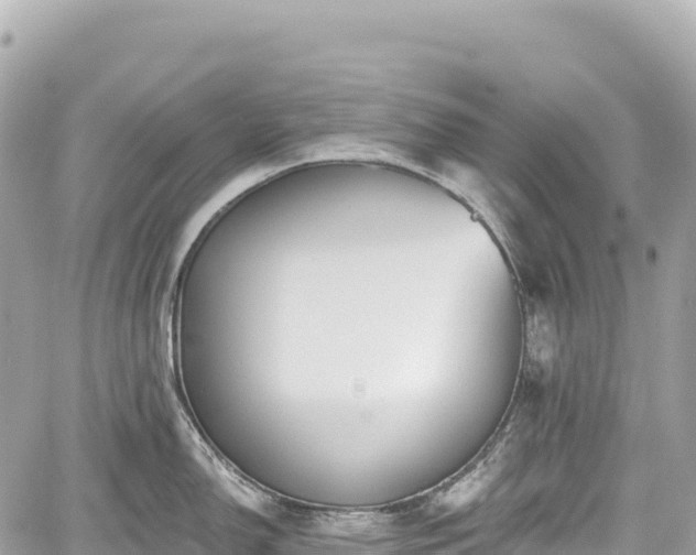 X0000059041150200510101003