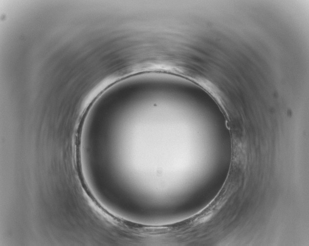 X0000059041151200510101003