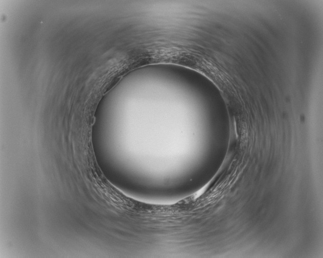 X0000059041153200510101002