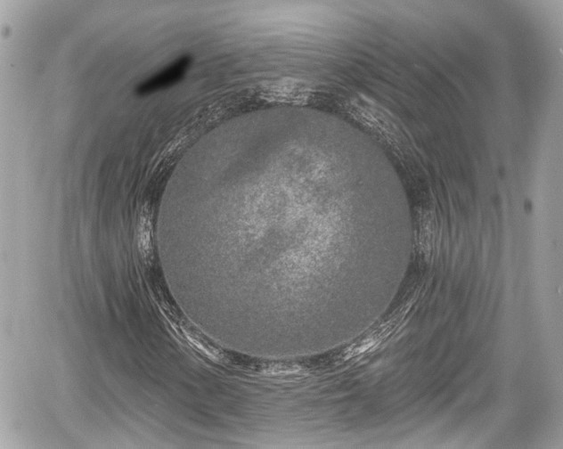 X0000059041154200510101002