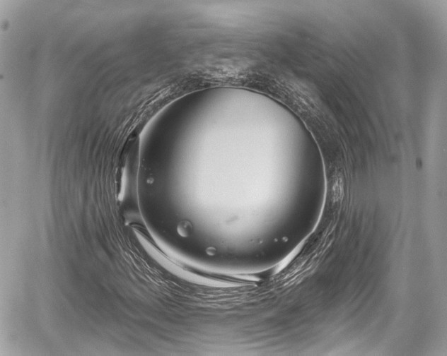 X0000059041156200510101002