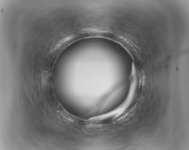 X0000059041157200510101002