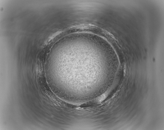 X0000059041158200510101002