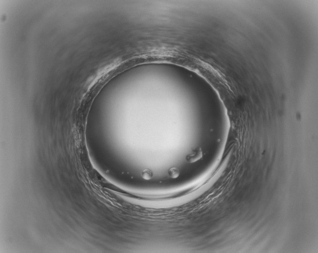 X0000059041160200510101002