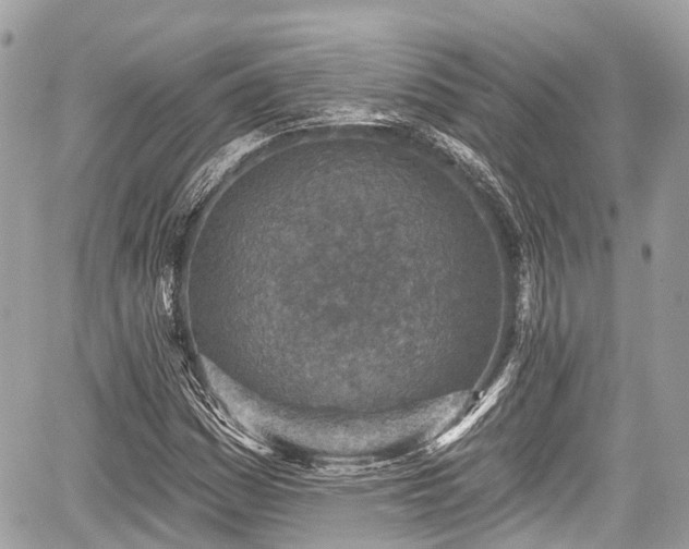 X0000059041161200510101002