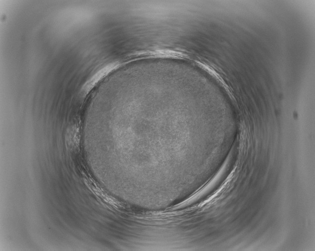 X0000059041163200510101002