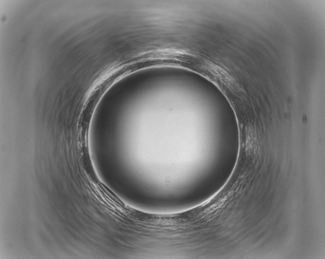 X0000059041164200510101002