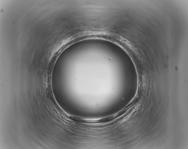 X0000059041165200510101002