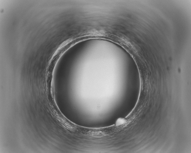 X0000059041168200510101002