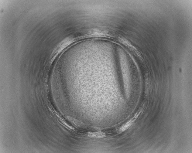 X0000059041170200510101002