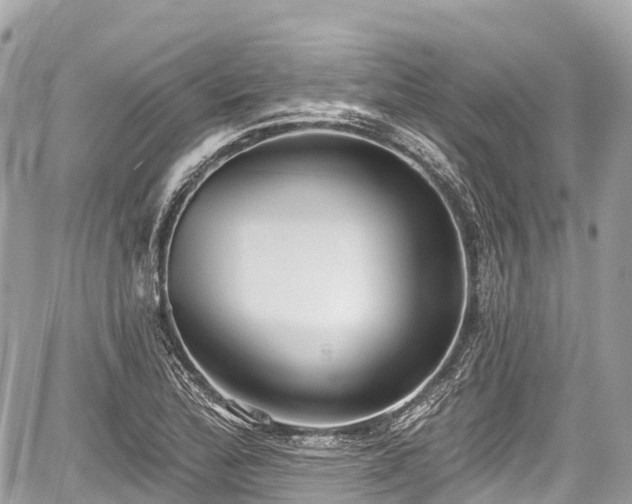 X0000059041172200510101002