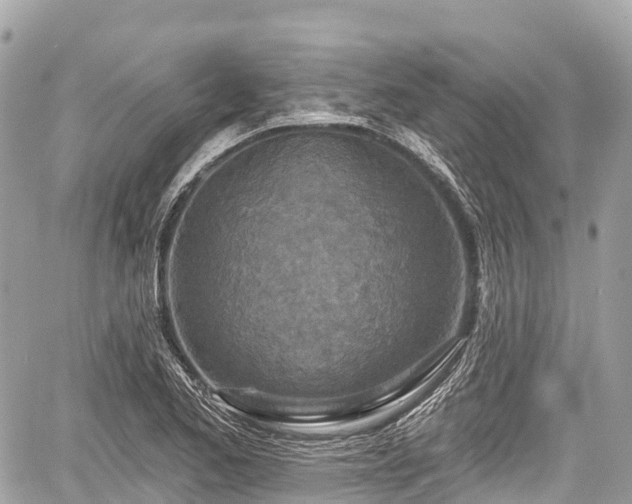 X0000059041173200510101002