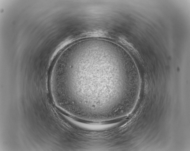 X0000059041174200510101002