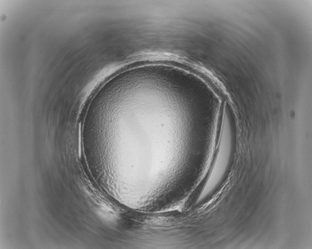 X0000059041175200510101002