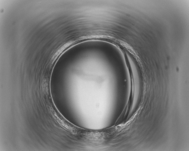 X0000059041177200510101002