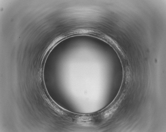 X0000059041178200510101002