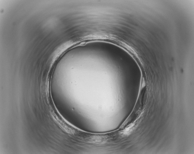 X0000059041179200510101002