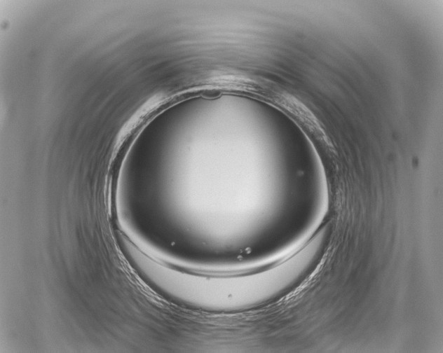 X0000059041180200510101002