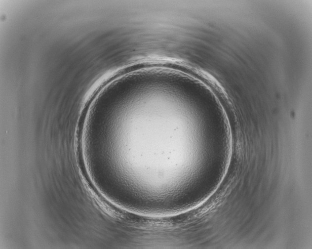 X0000059041183200510101002